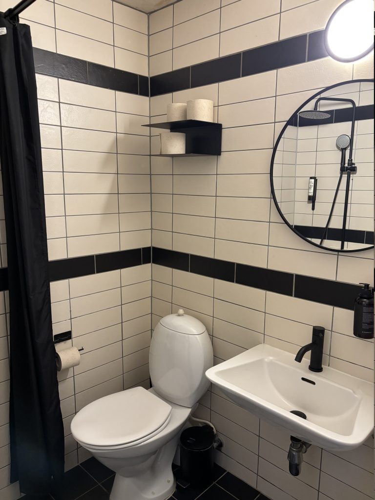 toilet